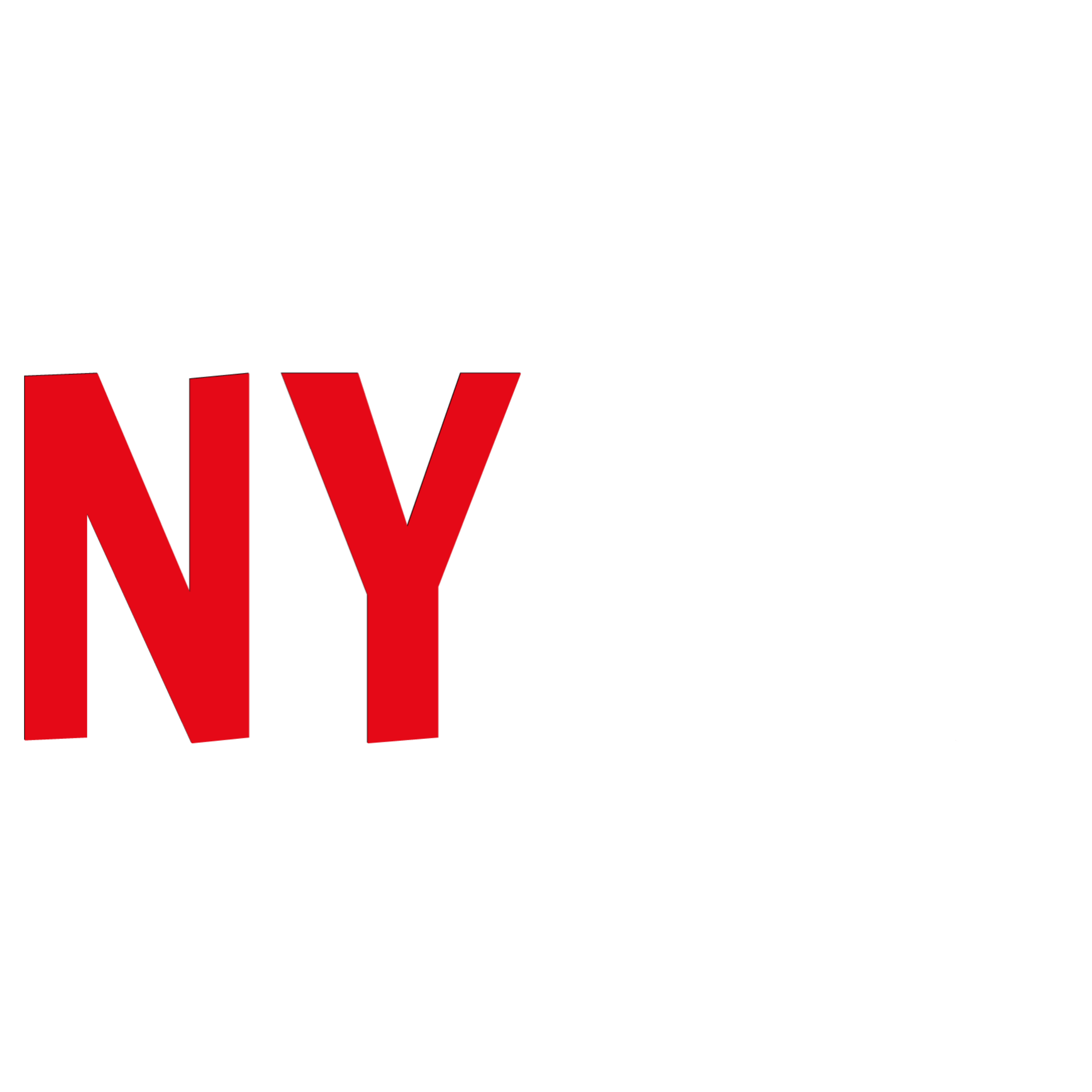 NYCityGuys